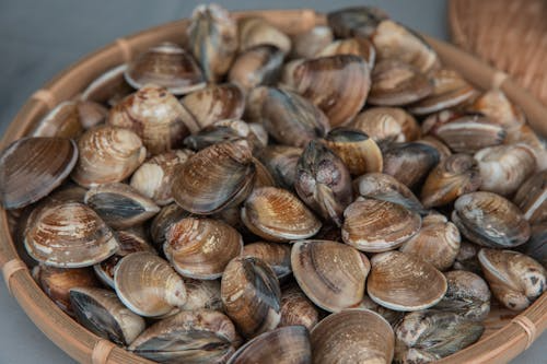 Spurgare le Vongole